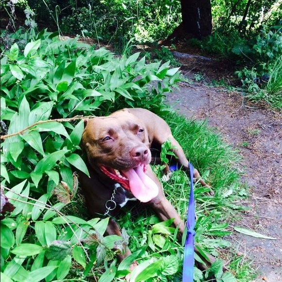 ForTheLoveOfAsh🌹💙 - Picture 2 of 4